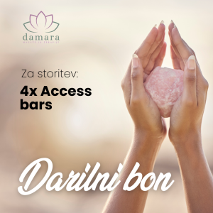 4x Access Bars