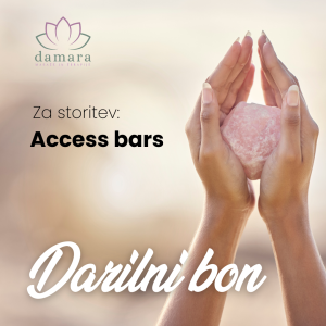 Access Bars